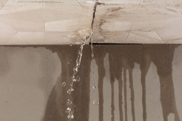 Professional Structural Drying technician working in Burgoon, OH